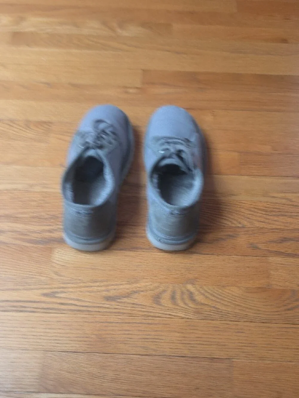 Ugg Nuemel Mens Gray Canvas Lace-Up Shoes